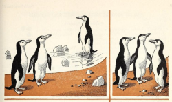 nemfrog:  Penguins together. Making Sure of Arithmetic - Book One, Teacher’s Edition. 1958. 