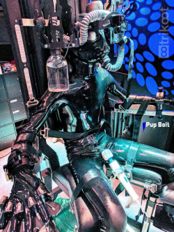pupbolt:  More of Bolt’s Helsinki adventures and challenges with Trikoot. A few hours securely held in position against a vibro-wand and being fed poppers through a breathe-through inflatable gag and a bubbler bottle - as every rubber gimp should be.