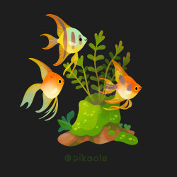 pikaole: Fresh water fish and plants [ Patreon / twitter / insta / shop / print / teepublic / LINE / Galaxy / iMessage ] 