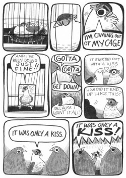 pigeoncomics:Pigeon Comic 52 - Mr. Brightside