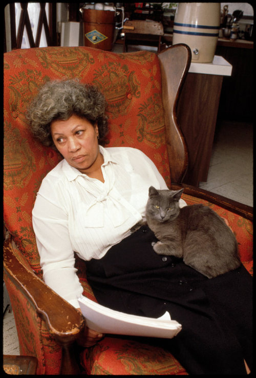 felinepurrrstory:  Toni Morrison at home in 1980. Photographs by Bernard Gotfryd.