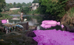 sixpenceee:  The Tullahan River in Caloocan, Metro Manila is one of Metro Manila’s dirtiest rivers. Residents along Tullahan river have noted that multi-colored sudsy effluents have left violet-colored residue in the river water, rocks and banks. Several