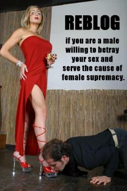 lesbian-femme-supreme-dominatrix:  Saying you “support” it, or “promote” it is one thing. But let’s see what boys out there are really willing to commit treason against their sex in the name of it.&gt;&gt; BETRAY THE MALE SEX &lt;&lt;&gt;&gt;