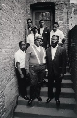 so-treu:  rootsnbluesfestival:  Big Mama Thornton, Muddy Waters, James Cotton, Otis Span and others (1965) by Jim Marshall   PRAISES AND ACCOLADES. ALL PRAISES AND ACCOLADES DUE. 