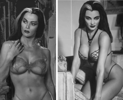 slewdbtumblng: feathers-butts:  classic-coffins:  Yvonne De Carlo in “Munster” lingerie  @slewdbtumblng   need to reblog again! &lt;3 &lt;3 &lt;3