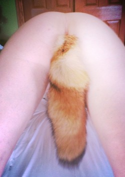foxtailvixen:  My Fox Tail 