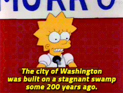 cartoon:  cartoon:  Sorry, Dad. I couldn't think of a nice way to say "America Stinks!"The Simpsons, Mr. Lisa Goes to Washington (1991) dir. Wes Archer  Happy 4th of July from Lisa Simpson!!! 👏 👏 👏