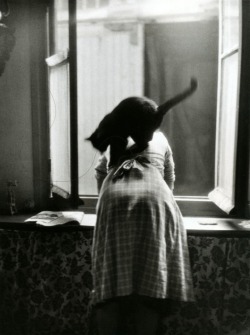 Willy Ronis 