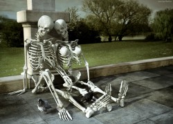 helyon:  daemontool:  straight people are terrifying they can go as far as to give the girl skeleton a pair of bone titties to indicate its a straight relationship  Oh my fucking god 