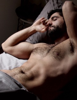 bearpitpig:  #HairyPits #Armpits #Bear #Pits #MuscleBear #Hairy #Pig #Furry #FurryPits #Pit