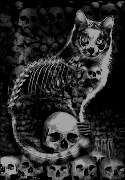 spookyloop:  Skull Cat Print by Vena Kava 