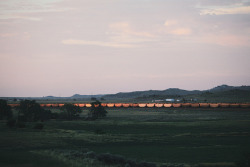 se17enteen:  sunrise on a train by wanderingstoryteller on Flickr.