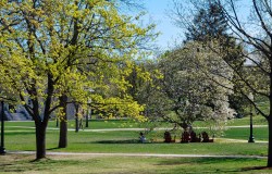 danlophotography:  Middlebury in Spring | Middlebury College, Vermont, USA