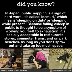 did-you-kno:  In Japan, public napping is a sign of  hard work. It’s called ‘inemuri,’ which  means &lsquo;sleeping on duty’ or 'sleeping  while present.’ Because falling asleep in  public is thought to be a symptom of  working yourself to exhaustion,