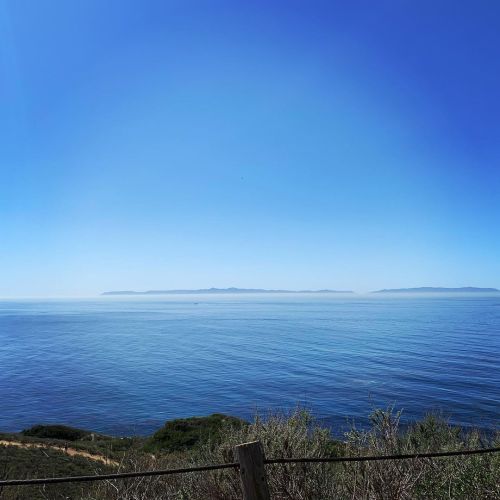 Walking trail at the edge of the Pacific Ocean in Rancho Palo Verdes. #california #californiadreaming #walks #ocean  https://www.instagram.com/p/CNG49bJLblN/?igshid=1f5n1zqgofi6i