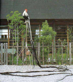 archiemcphee:  Check out the awesomely long tails on these roosters! These regal specimens are Onagadori or “Long-tailed” chickens. They’re a breed of chicken from the Kōchi Prefecture of Japan who evolved from common domestic chickens who mated