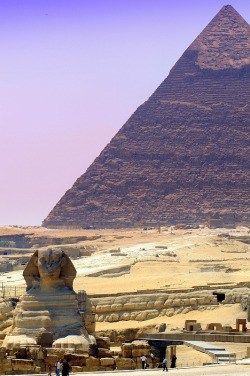 laiua:  goldenveil:  Giza Pyramids / Egypt  I feel like I deserve to one day see this 