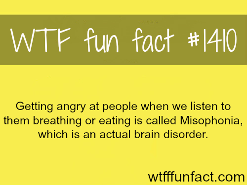 Did you KNOW?! - (and other useless facts!) - Page 2 Tumblr_momg84mZdZ1s1a8kso1_500