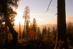 stepontotheplanet:  Sunset at Yosemite National Park