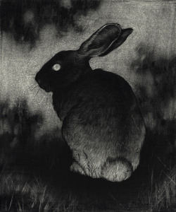 samwolfeconnelly:  Rabbit    View the rest of the ‘Underbrush’ show at the Creatura House 