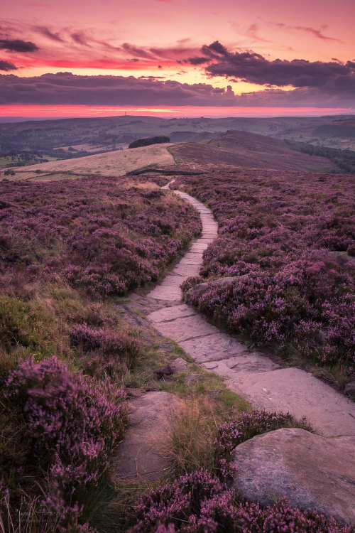 expressions-of-nature:  Staffordshire, England by James Picture