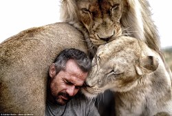 cctvnews:  Meet the renowned lion whisperer and his pride of big catsLion whisperer Kevin Richardson has developed an intimate bond with his cats. The images of him getting up so closely with the big cats are as heartwarming as it is fearsome.Richardson