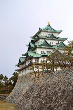 minuga-hana:    Nagoya Castle by schwierphoto 