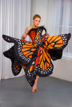 scatterbraindead:  arkhamboundz:  sensualspectrum:  Monarch Dress by Luly Yang if I saw somebody wearing this I think I would just stop and stare colorful | playful | sensualspectrum  I wouldn’t wear this I would live in this  i would wear this everywhere
