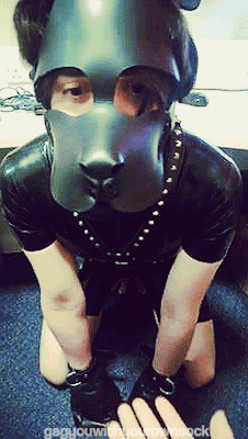 hruff:  gayboykink:  gagyouwithyourownsock:  Puppy boy.  Tricks ~ Paw.  This is literally just too adorable for me to handle. Pup’s wiggly ears as he tilts his head… His satisfied look in the eyes as he gets scratched. Oh god, the feels. &lt;3 (PS: