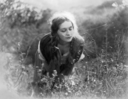  Marguerite De La Motte ~ The Beloved Brute (1924) 