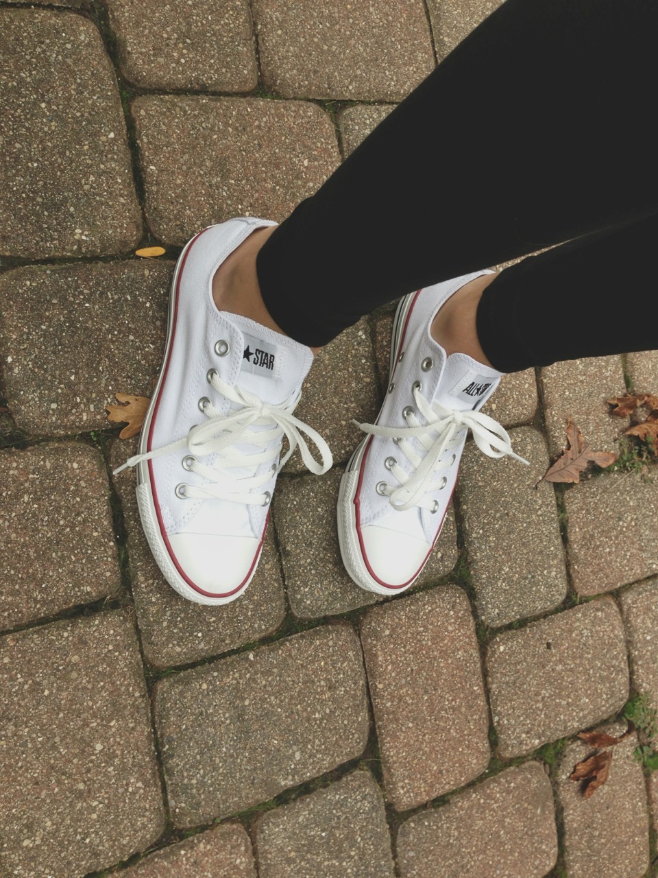 all white converse tumblr