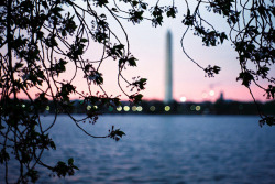 grett:  Washington, DC by shawn lenker on Flickr. Washington, DC 