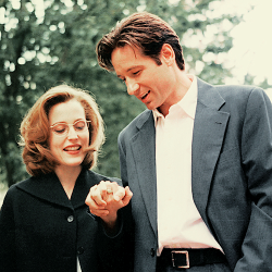 danakaterine:  “For me, The X-Files has always been a romance - an intellectual romance of the mind that’s very rare and restrained. It is intimate but not physical. That is a big part of the chemistry. And from the beginning of the show, it was David