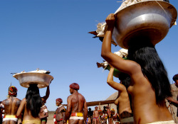 Brazilian Xingu, by Sol Manzutti.