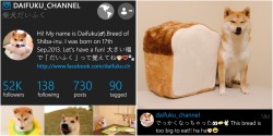 miss-nerdgasmz:  mustardtigress:  I love bread just as much as Daifuku!!  kanerainx:   #loaf of bread in loaf of bread  