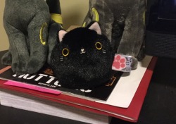 nyx-thewolf: dashingicecream: I’ve been crying abt this purchase all day ARE THOSE TWO UMBREONS IN THE BACKGROUND!?!?!? im jealous!!!! I’m only getting one for christmas, and it doesn’t look half as soft as those  AW IM SURE YOUR UMBREON WILL BE
