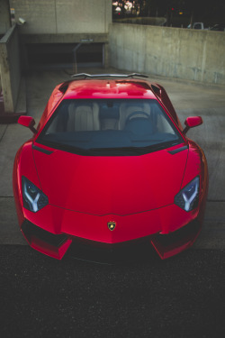 luxury-addictions:  follow for more luxury at luxury-addictions 