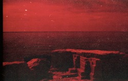 lulukirsten: The sea. Nikon F601 Expired film Fuji Superia 200 redscale 