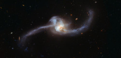 just&ndash;space:  Hubble Unravels a Twisted Cosmic Knot : This Hubble image shows what happens when two galaxies become one. The twisted cosmic knot seen here is NGC 2623 — or Arp 243 — and is located about 250 million light-years away in the constellati