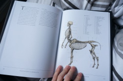 clepse:  One of my favourite books, a Gray’s Anatomy for mythological creatures. The Resurrectionist // Eb Hudspeth 