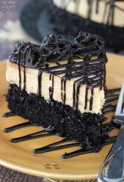 foodsforus:  Chocolate Peanut Butter Truffle Cake  