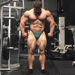 Flex Lewis - 12 weeks out to Olympia 2017.