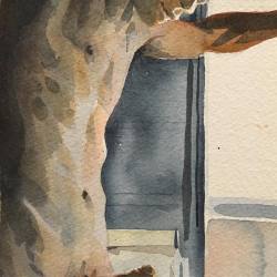 gabrielzebub:“Jorge’s Kitchen Window” - 5x7&quot; original watercolor on paper - Gabriel Garbow 2017 . . #watercolor #sexy #boys #gayart #nudeart #nudemale #boys #gabrielgarbow #myart #etsy #gabrielgarbowart