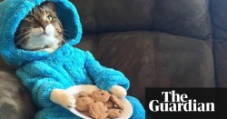 US embassy apologises after mistakenly sending Cookie Monster cat invitation“Sorry to disappoint those of you who were hoping to attend this ‘cat pyjama-jam’ party, but such an event falls well outside our area of expertise.”