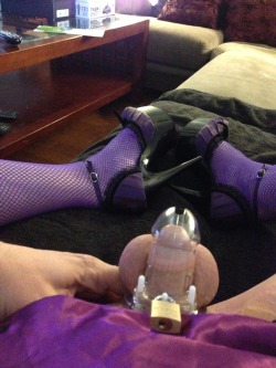 sissy in heels, stockings, and her clitty locked up in chastity