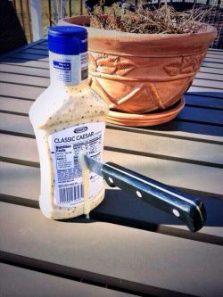 macrolit: eeyore9990:  toomanyfandomstocountcx:  greeedybastard:  diggly:  mamacastiel:  why does this have 32k notes? it’s just a picture of a knife in a ranch bottle, is there some unspoken joke that 32 thousand people share? what is going on here,