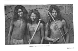 the-two-germanys:  Veddas: The aborigines of Ceylon.Spoila zeylanica: A guide to the collections in the Colombo MuseumColombo: G.J.A. Skeen, Government Printer, 1906