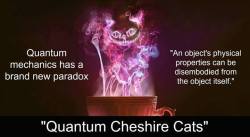 the-science-llama:  Physicists add ‘Quantum Cheshire Cats’ to list of quantum paradoxes  Given all the weird things that can occur in quantum mechanics—from entanglement to superposition to teleportation—not much seems surprising in the quantum
