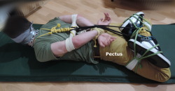 pectus00:  Oh that guy really loves tight hogties! This one wasn’t planned that tight, but he enjoyed it laying on the floor struggling and moaning into his tight sock-tape-gag, that I couldn’t help myself but adding more and more ropes. :D So much