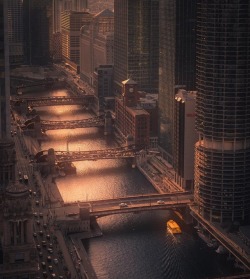 archatlas:    A Big City Life by Mike Myers  